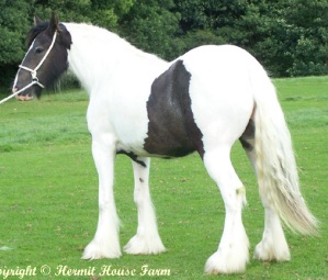 Click for larger image